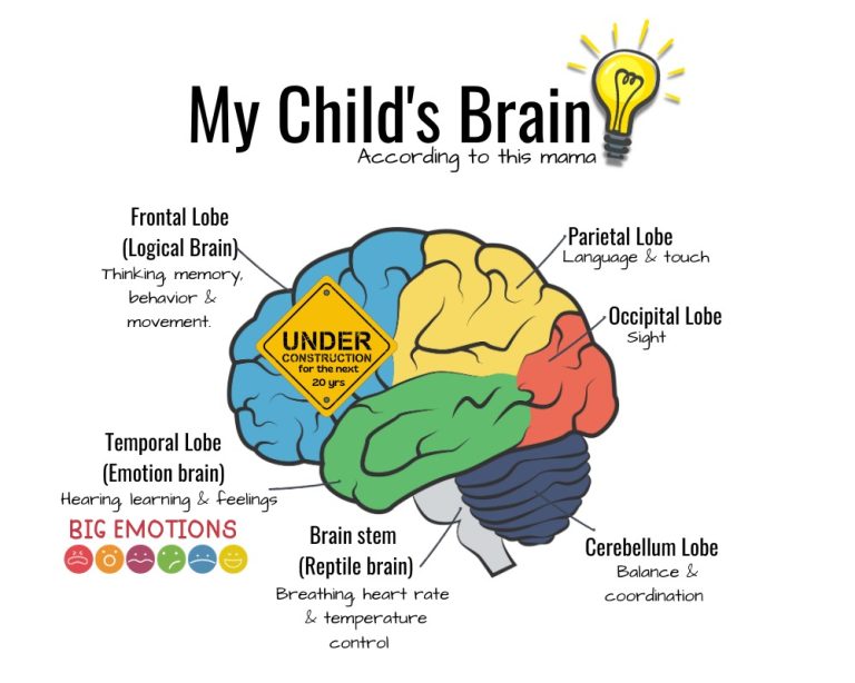 Children's Choice emotional intelligence workbooks can be introduced to children at various stages and ages of their development.