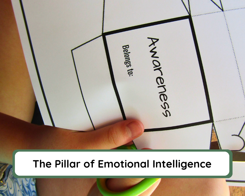 Children's Choice Self-Awareness - The pillar of emotional and social development